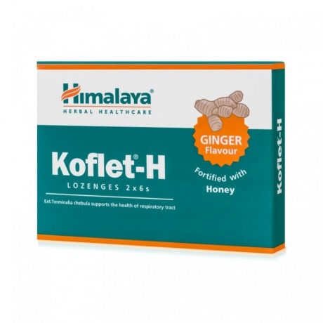 459-8901138834906_himalaya_koflet_h_gingerr-ef14b45d261b00e2